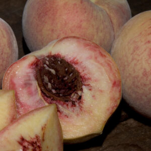 Indian Free Peach