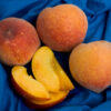 June Gold Peach