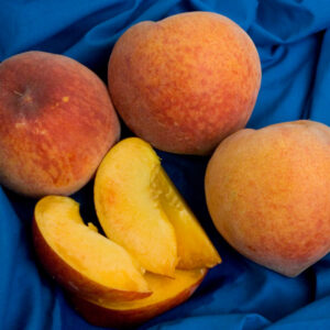 June Gold Peach