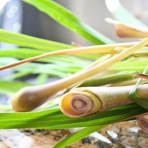 Lemongrass