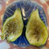 Madeleine des deux Saisons Fig