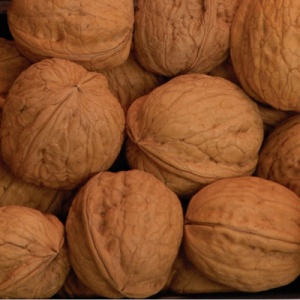 Manregion English Walnut