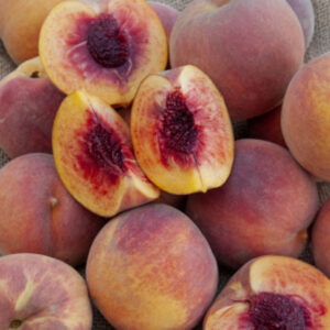 Octoberfest Peach
