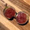 Ronde de Bordeaux Fig
