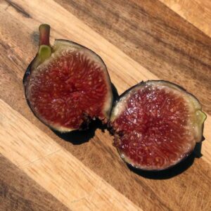 Ronde de Bordeaux Fig