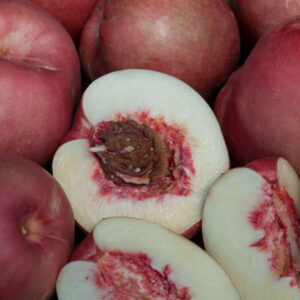 Spice Zee NectaPlum