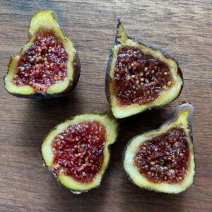 St. Rita Fig