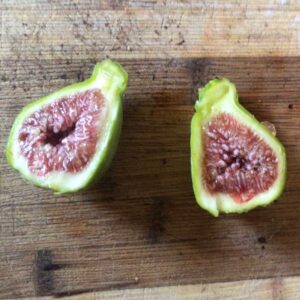 Sucrette Fig