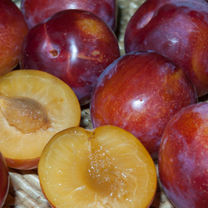 Sugar Twist™ Pluerry