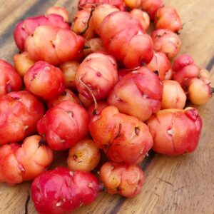 Sunset Oca Tubers