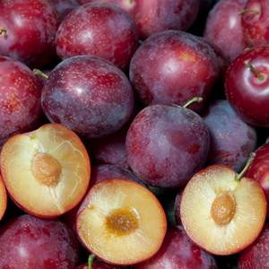 Sweet Treat™ Pluerry