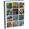 The Timber Press Guide to Succulent Plants of the World