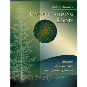 Understanding Roots