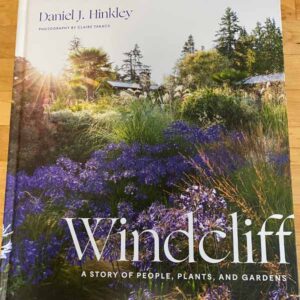Windcliff