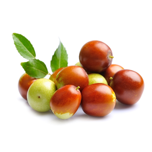 Winter Delight ™ Jujube