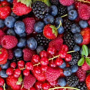 Fruiting Shrubs & Berries
