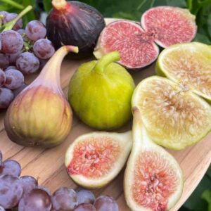 Fig