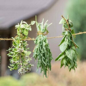 Herbs, Spices, and Teas