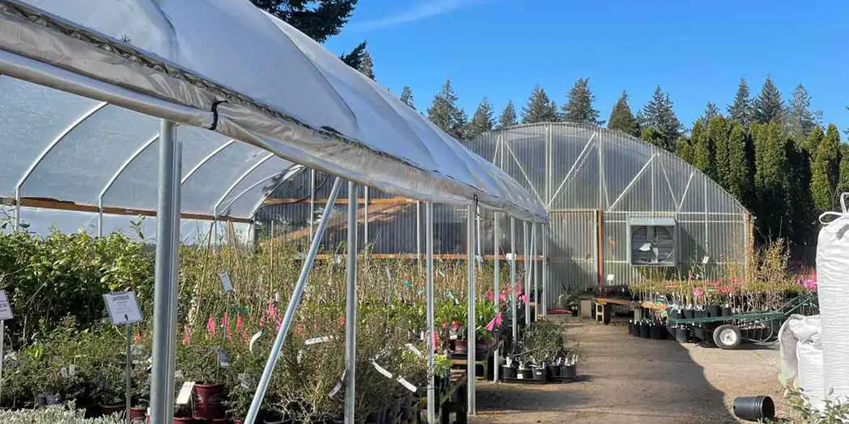 Planting and Care Guide