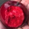 Pendragon Red Fleshed Apple Tree