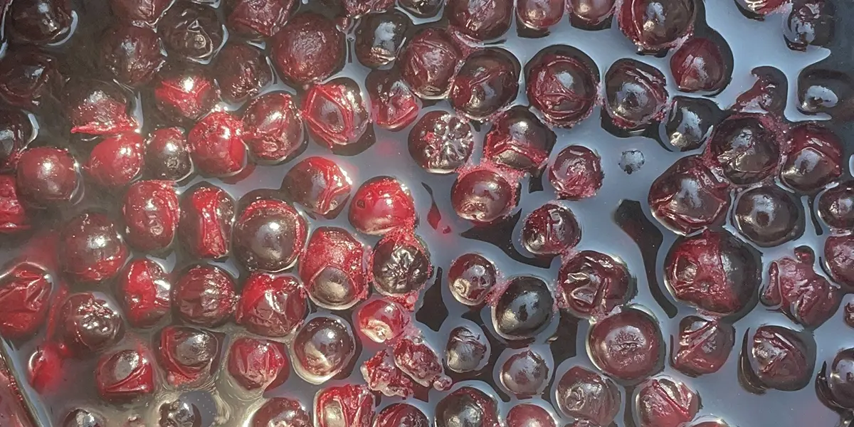 Aronia Berry Syrup