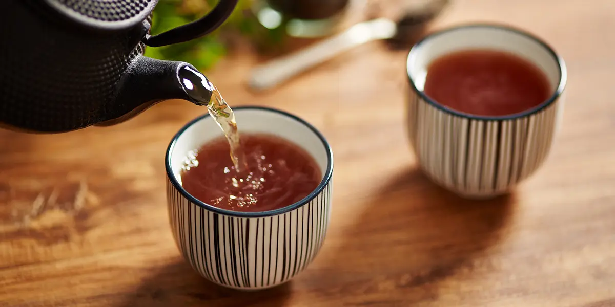 Tea Processing Guide