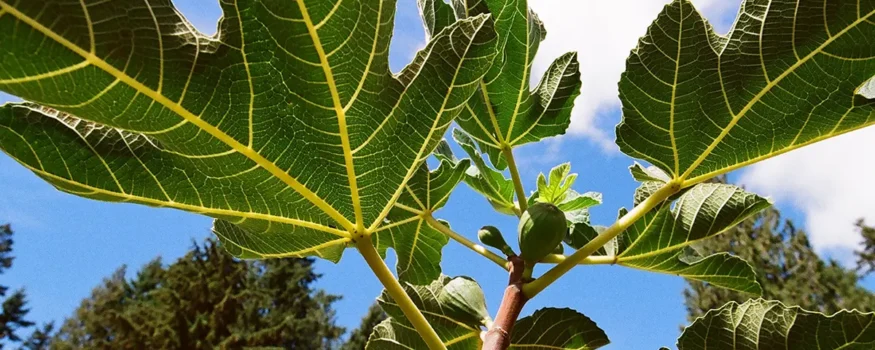Events at One Green World