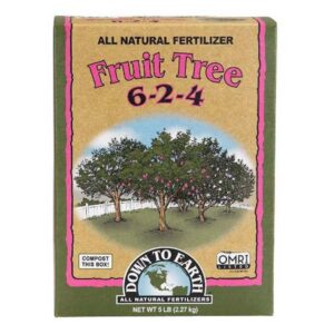 Fruit Tree 6-2-4