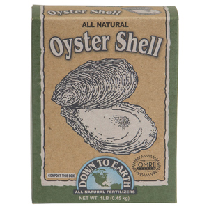 Oyster Shell