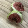 Saint Germain Fig Tree