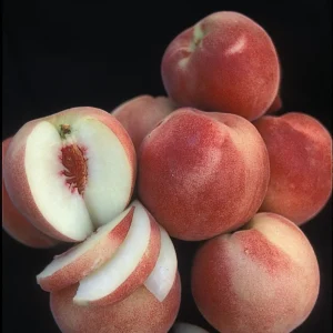 White Lady Peach